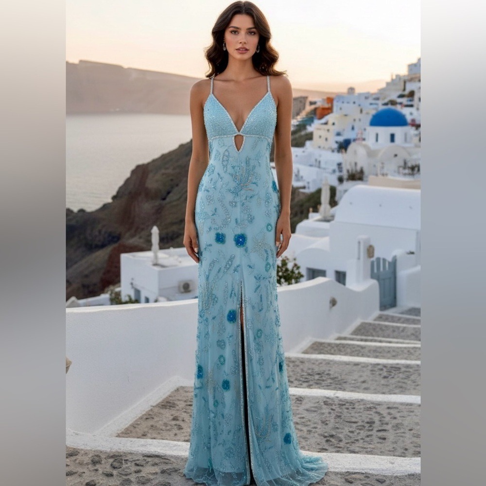 Elegant baby Blue hand, embroidered,hand beaded attitudes by Debra evening Dress